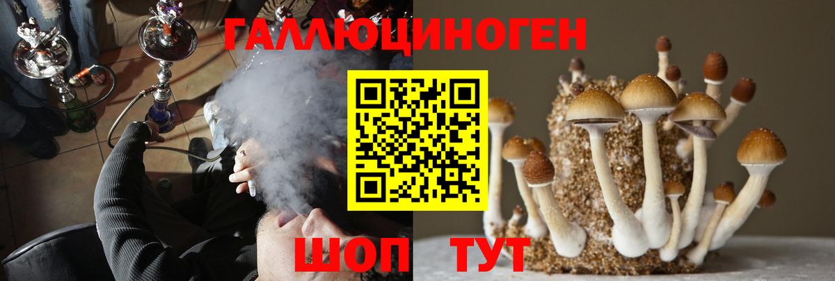 Галлюциногенные грибы MAGIC MUSHROOMS  Галлюциногенные грибы Magic Shrooms  Белгород  Вход с VPN 