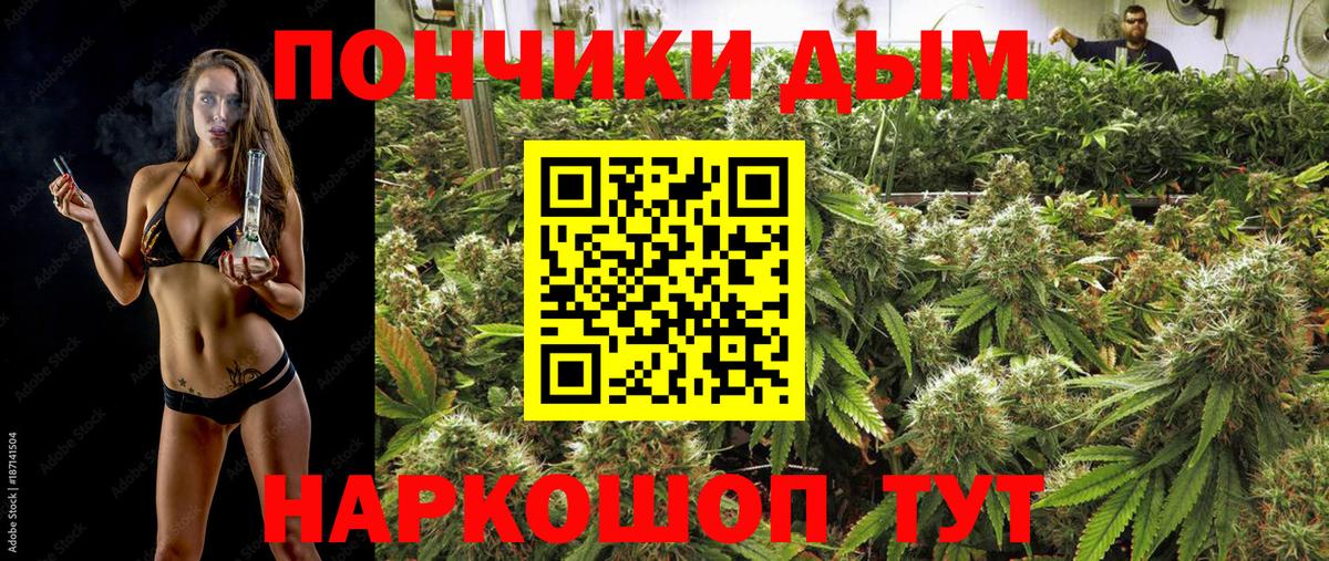 Бошки Шишки SATIVA & INDICA Белгород