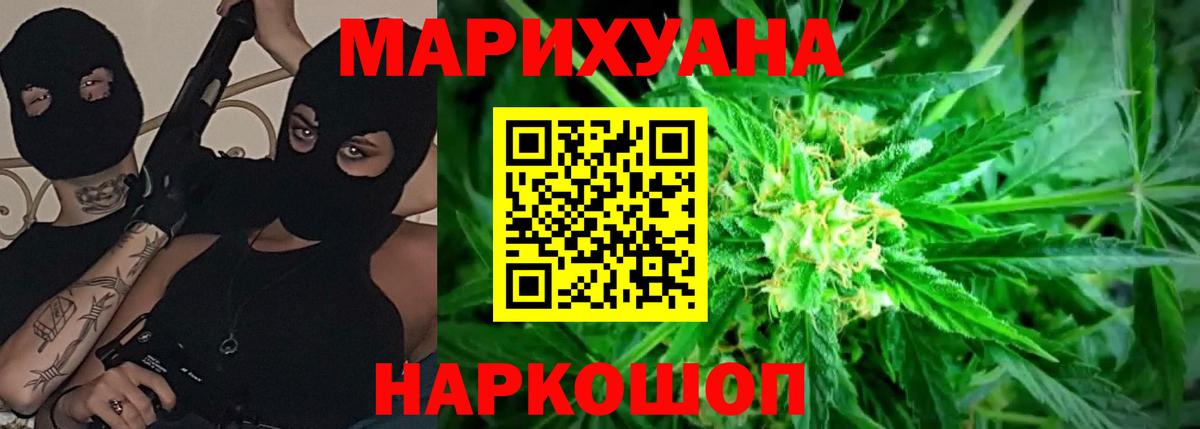 Конопля гибрид  Каннабис планчик  Конопля марихуана  Белгород  Вход с VPN 